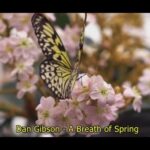 Dan Gibson – A Breath of Spring