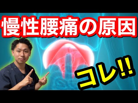 【必見】腰痛を改善する呼吸トレーニング