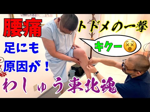 【鍼灸】腰痛肩こり足の痛みで悩むタクシードライバー!全身の鍼治療で元気100倍【鍼灸院・整体・マッサージ】渋谷区恵比寿コスモ治療院