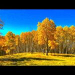 Beautiful Relaxing Music, Peaceful Soothing Instrumental Music, "September Meadows" by Tim Janis