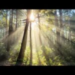 Beautiful Relaxing Music, Peaceful Soothing Music, "West Golden's Coast" by Tim Janis
