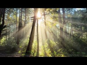 Beautiful Relaxing Music, Peaceful Soothing Music, "West Golden's Coast" by Tim Janis