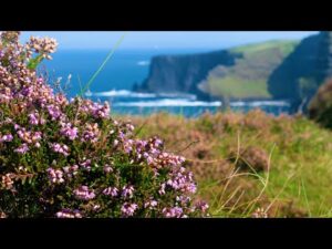 Beautiful Relaxing Music, Peaceful Soothing Music, "Celtic Wilderness" by Tim Janis