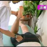 痛みの臨床に役立つ手技療法　ASTR【DVD】