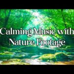 🔴 Relaxing Music 24/7, Sleep Music, Stress Relief Music, Spa, Meditation, Yoga, Zen, Flowing Stream