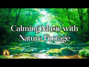 🔴 Relaxing Music 24/7, Sleep Music, Stress Relief Music, Spa, Meditation, Yoga, Zen, Flowing Stream