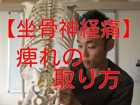 【坐骨神経痛 治し方】坐骨神経痛、足の痺れの取り方