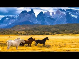 Beautiful Relaxing Hymns, Peaceful Instrumental Music, "Mountain Horses Morning" By Tim Janis