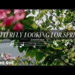 Butterfly Looking For Spring | Guitar Relaxing Music – Sleep Music, Stress Relief