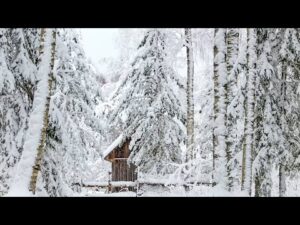 Beautiful Relaxing Music, Peaceful Instrumental Music, "Winter Mountain Peaceful Cabin" By Tim Janis