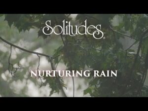Dan Gibson’s Solitudes – Whispers of Rain | Nurturing Rain