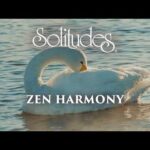 Dan Gibson’s Solitudes – Swan on the Water | Zen Harmony