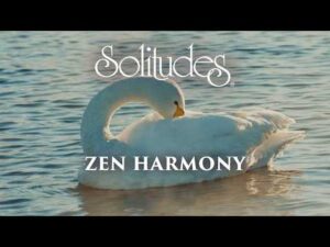 Dan Gibson’s Solitudes – Swan on the Water | Zen Harmony