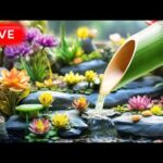 🔴 Relaxing Music 24/7, Healing Music, Meditation Music, Spa Music, Sleep, Relaxing for Stress Relief