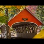 Beautiful Relaxing Music, Peaceful Instrumental Music, "New Hampshire Golden Woods" by Tim Janis