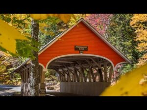 Beautiful Relaxing Music, Peaceful Instrumental Music, "New Hampshire Golden Woods" by Tim Janis