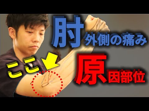 肘の外側が痛くなる『原因部位』を分かりやすく解説！【テニス肘(上腕骨外側上顆炎)#1】