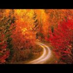 Beautiful Traditional Hymns, Peaceful Music, "September Golden Autumn Morning Sunrise" by Tim Janis