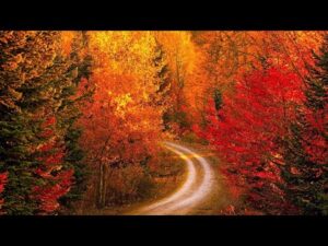 Beautiful Traditional Hymns, Peaceful Music, "September Golden Autumn Morning Sunrise" by Tim Janis
