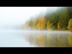 Autumn's peaceful Lake Morning Sunrise, Beautiful Relaxing Hymns, Peaceful Music by Tim Janis