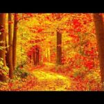 New England Autumn Scenery, Peaceful Soothing Instrumental Music, by Tim Janis