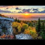 Beautiful Relaxing Music, Peaceful Soothing Music, "Spring Wild Woodland Peace" by Tim Janis