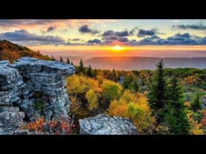 Beautiful Relaxing Music, Peaceful Soothing Music, "Spring Wild Woodland Peace" by Tim Janis
