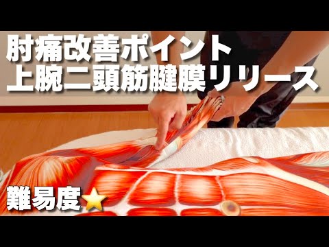 【上腕二頭筋腱膜リリース】肘の痛みにはココ！腕の捻じれも解消　テニス肘やゴルフ肘も解消できる筋膜リリース