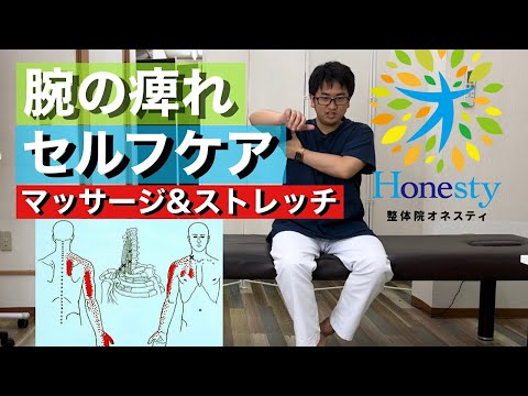 頚椎症|腕や手のしびれを改善させるセルフケア《マッサージ＆ストレッチ》