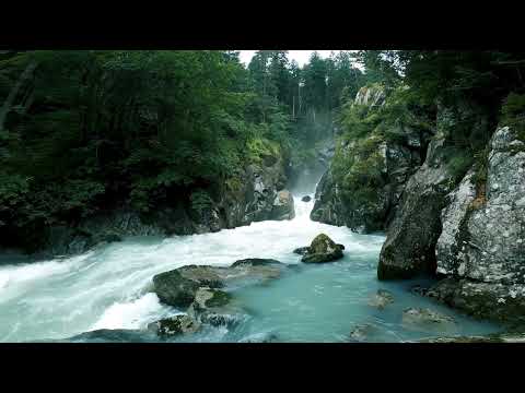 Relax music Top