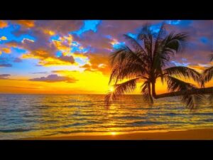 Beautiful Relaxing Music, Peaceful Instrumental Music, "Tropical Hawaiian Shores" By Tim Janis