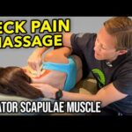 Neck and Shoulder Massage Technique (Neck Pain)