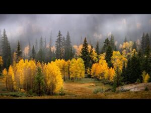 Beautiful Relaxing Music, Peaceful Soothing Piano Music, "Mountain Fall Foliage" by Tim Janis