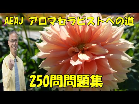 ＜27＞AEAJアロマセラピスト学科試験練習問題集【250問チャレンジ！】