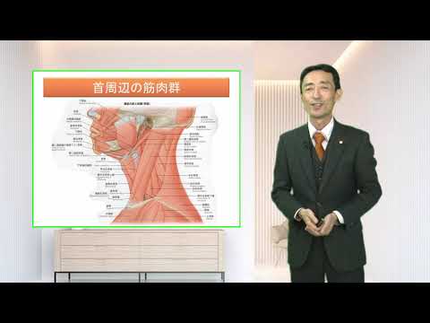 首の痛みの原因と治し方・治療法
