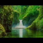 Woodland Waterfalls, Beautiful Relaxing Music, Peaceful Soothing Music by Tim Janis