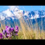 Beautiful Relaxing Music, Peaceful Soothing Music, "Spring in Glacier National Park" By Tim Janis
