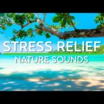 Relaxing Music for Stress Relief🌿Good Relaxing Music for Stress Relief • Good Sleep Music
