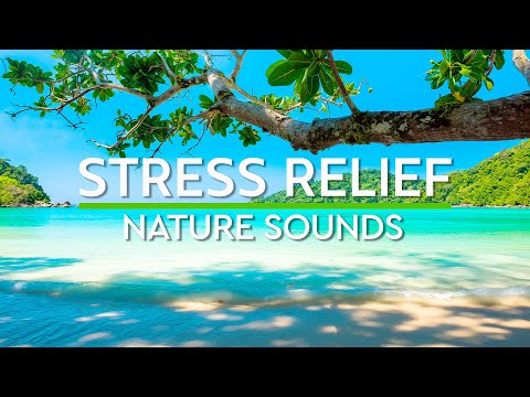 Relaxing Music for Stress Relief🌿Good Relaxing Music for Stress Relief • Good Sleep Music