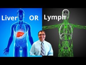 Liver or Lymph Which One Are You