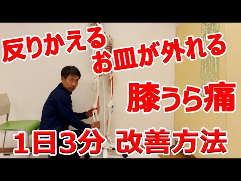 【ヒザ裏の痛み・お皿が外れる・反張膝】きつくない筋トレ。フォームが正しいからこそ、正しい筋肉が働きだし、膝が安定してくる。