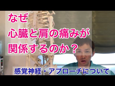 なぜ心臓と肩の痛みが関係しているのか？