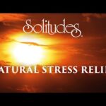 Dan Gibson’s Solitudes – Sienna Sky | Natural Stress Relief