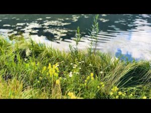 Beautiful Relaxing Music, Peaceful Instrumental Music, "Our Mountain Home" by Tim Janis