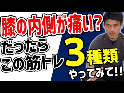 膝の内側の痛みを即効改善する筋トレ3種類【兵庫県 伊丹市 膝痛】
