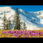 Beautiful Relaxing Hymns, Peaceful Music, "Along the Great Western Mountains" By Tim Janis