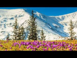 Beautiful Relaxing Hymns, Peaceful Music, "Along the Great Western Mountains" By Tim Janis