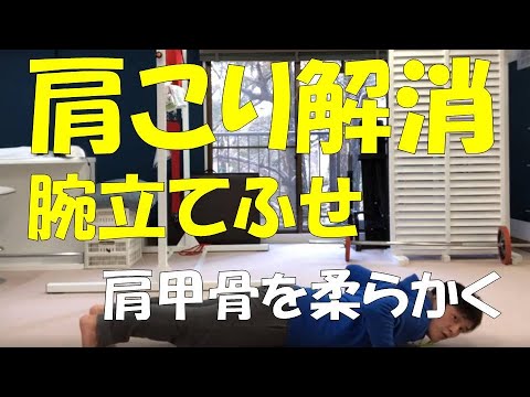 【肩こりの方向けのエクササイズ】腕立て伏せ（プッシュアップ）