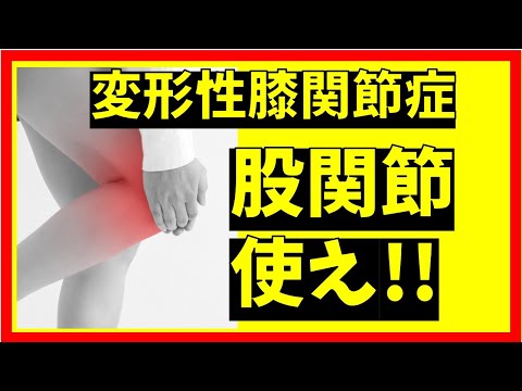 一瞬で変える!!膝痛改善のための股関節トレーニング[堺市南区光明池整骨院骨盤Lab Corpo]
