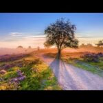 Beautiful Relaxing Music, Peaceful Soothing Music, "In the Place of Dreams" by Tim Janis